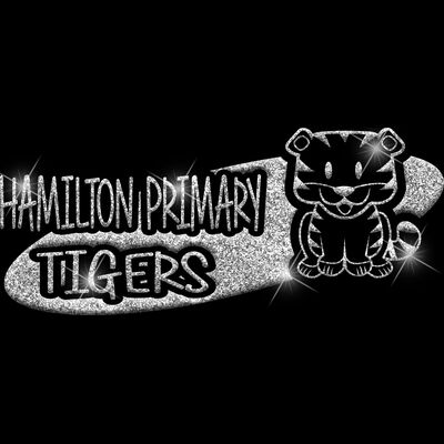 GLT100 SILVER GLITTER Thumbnail