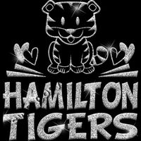 GLT88 SILVER GLITTER Thumbnail