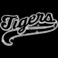 GLT78 SILVER GLITTER Thumbnail