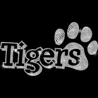 GLT17 SILVER GLITTER Thumbnail